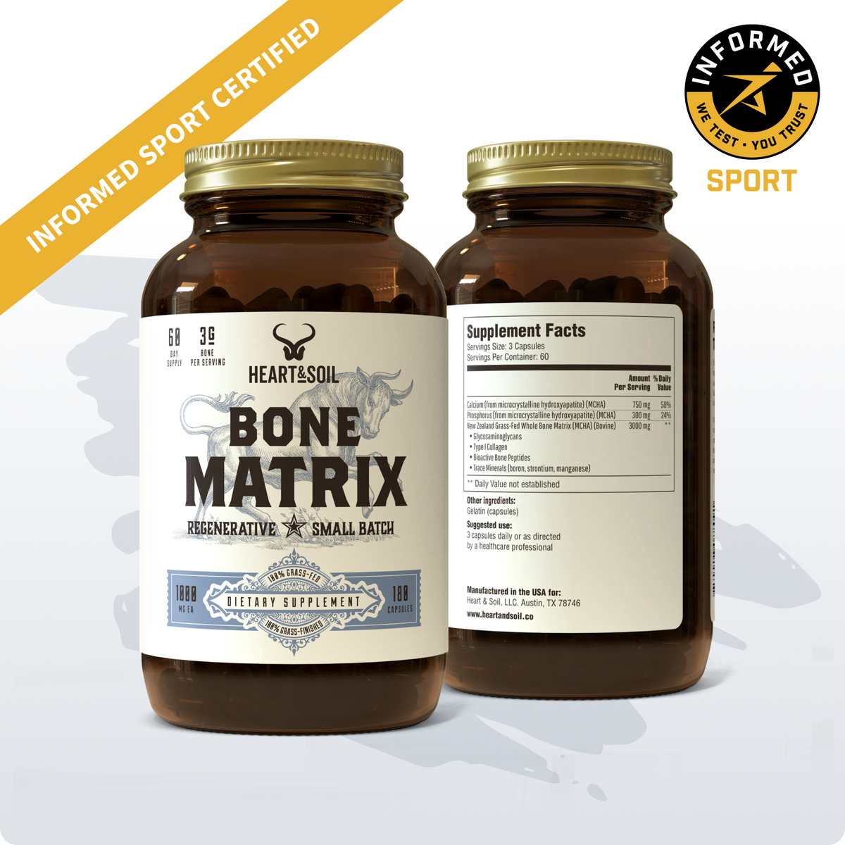 Bone Matrix