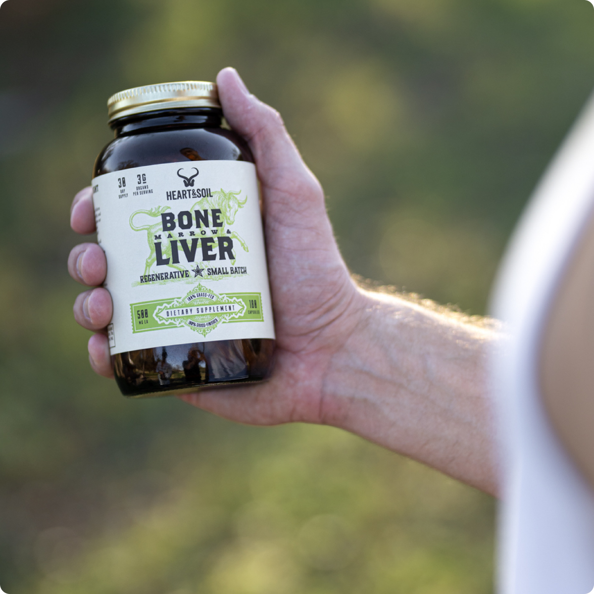 Bone Marrow & Liver