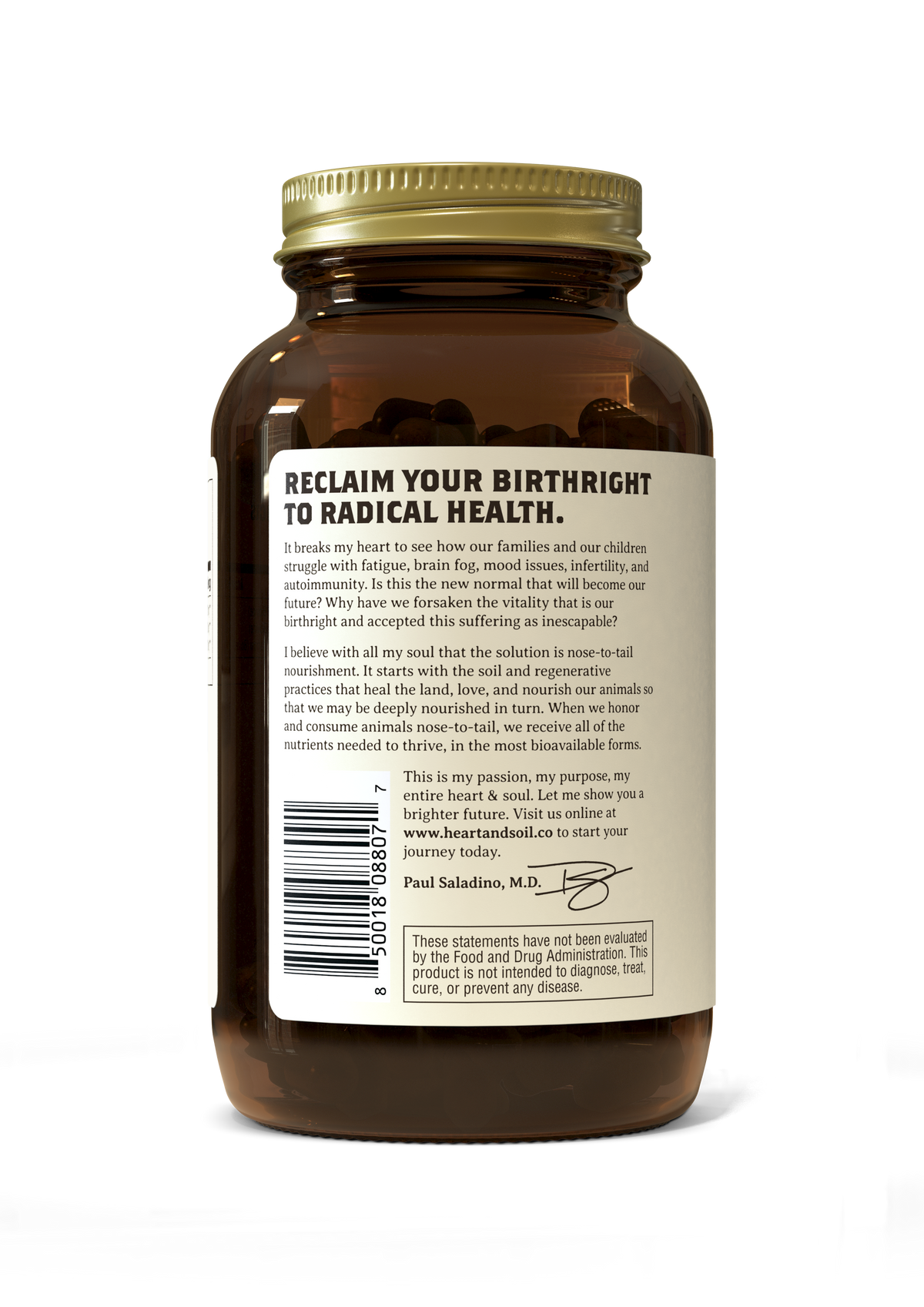 Mood, Memory & Brain