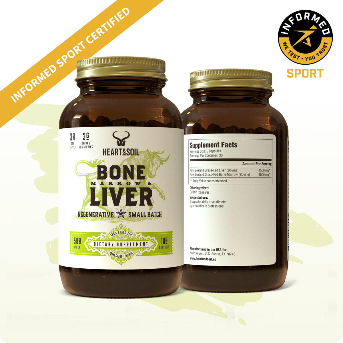 Bone Marrow & Liver