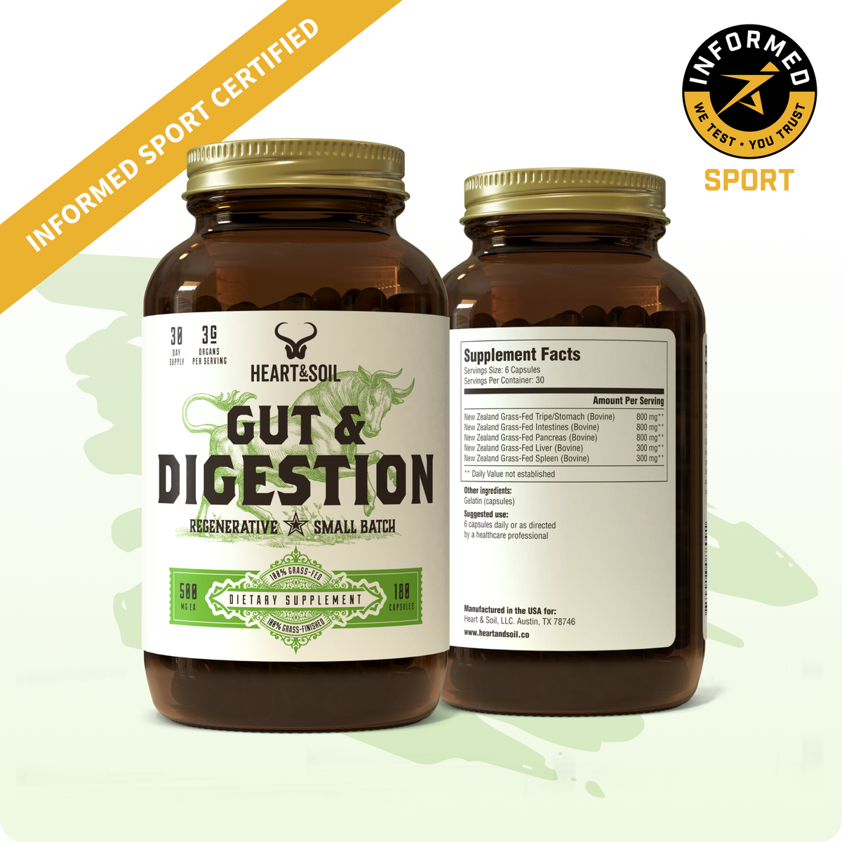 Gut & Digestion