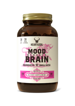 Mood, Memory & Brain