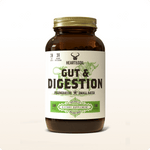 Gut & Digestion