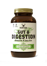 Gut & Digestion