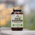 Gut & Digestion