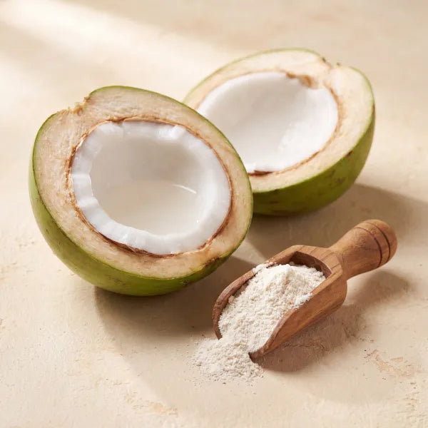 Coconut water powder